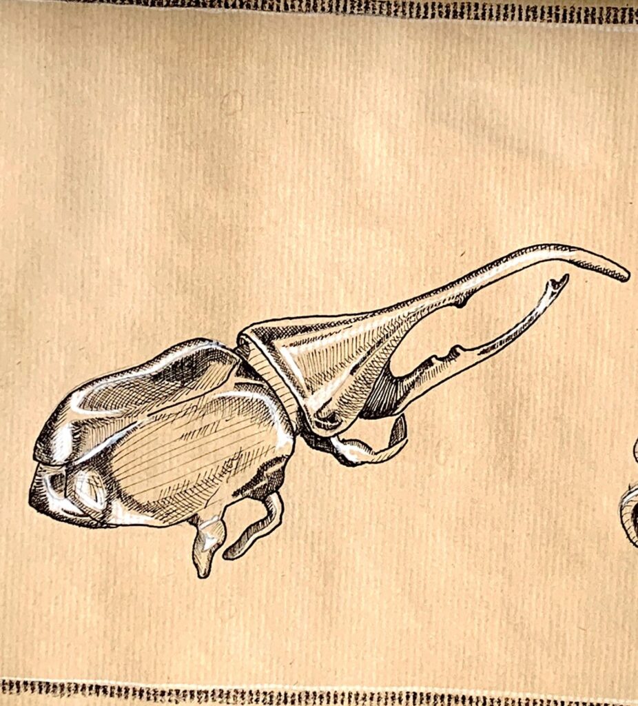 Scarabeo sketch
